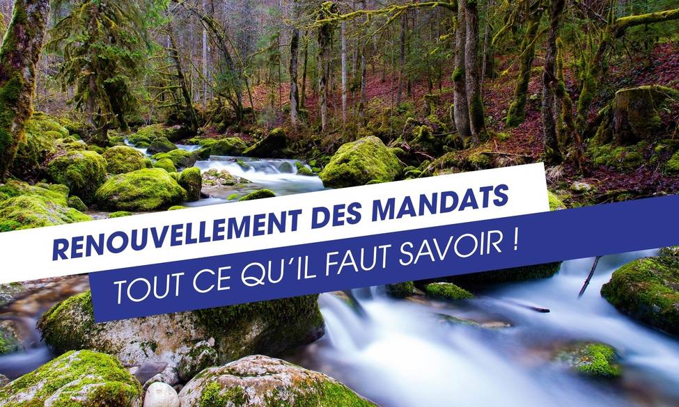 RENOUVELLEMENT DES MANDATS - Tout ce qu'il faut savoir ! 