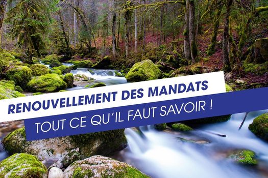 RENOUVELLEMENT DES MANDATS - Tout ce qu'il faut savoir ! 