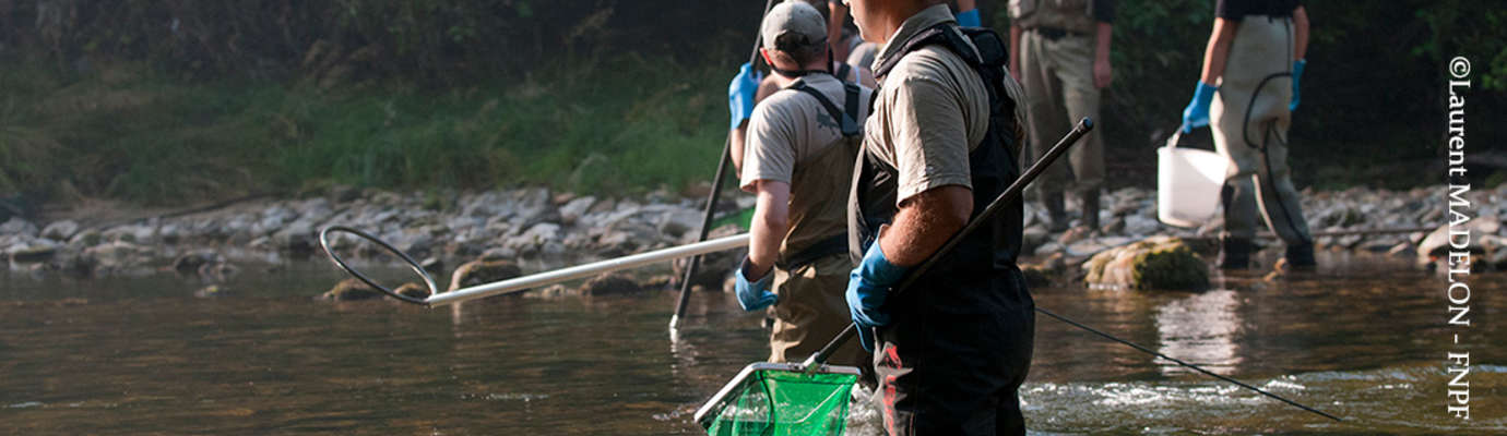 Pêches scientifiques réalisées en fédérations